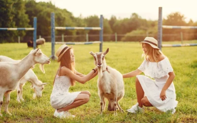The History of Goat Yoga